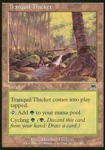 Tranquil Thicket