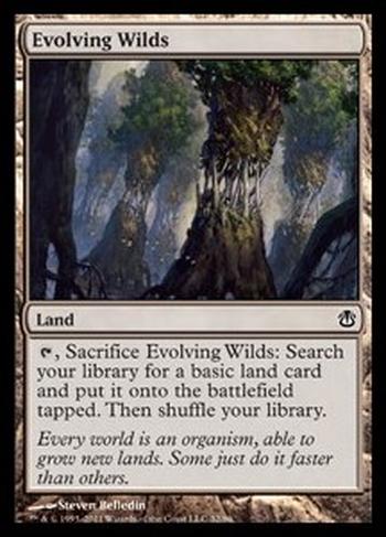 Evolving Wilds