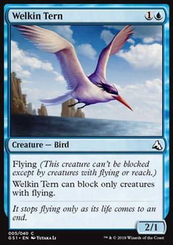 Welkin Tern