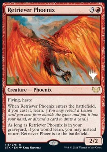 Retriever Phoenix