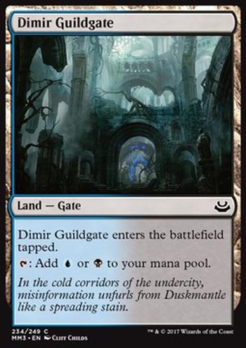 Dimir Guildgate