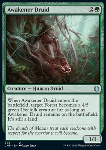 Awakener Druid