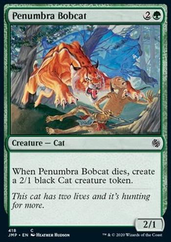 Penumbra Bobcat