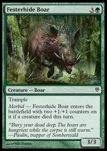 Festerhide Boar