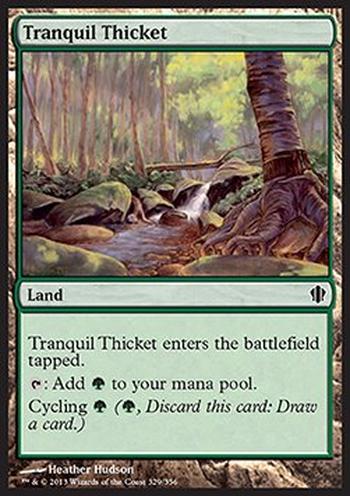 Tranquil Thicket