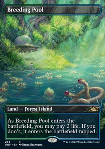 Breeding Pool