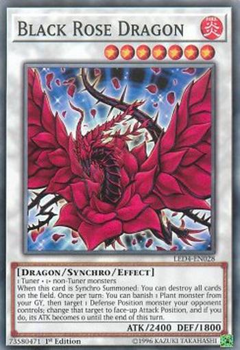 Black Rose Dragon