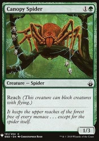 Canopy Spider