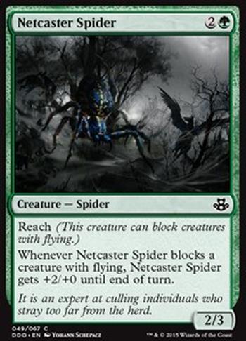 Netcaster Spider