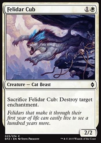 Felidar Cub