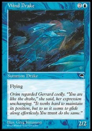 Wind Drake