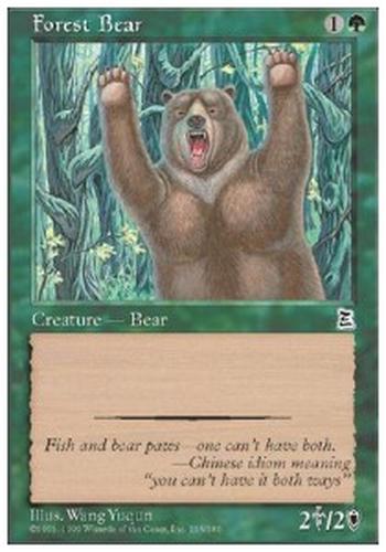 Forest Bear