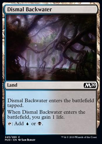 Dismal Backwater