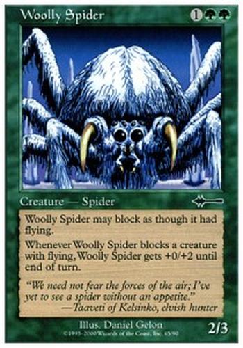 Woolly Spider