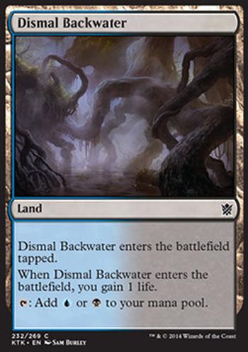 Dismal Backwater