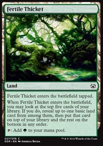 Fertile Thicket