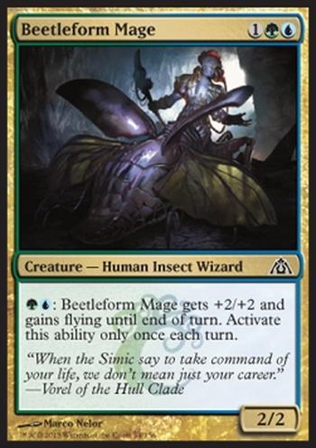 Beetleform Mage