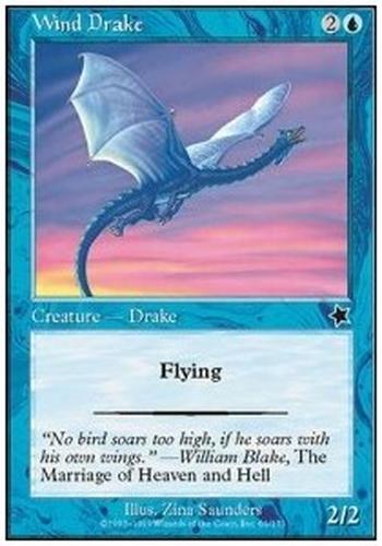 Wind Drake