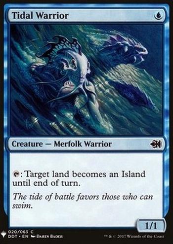 Tidal Warrior