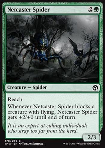 Netcaster Spider