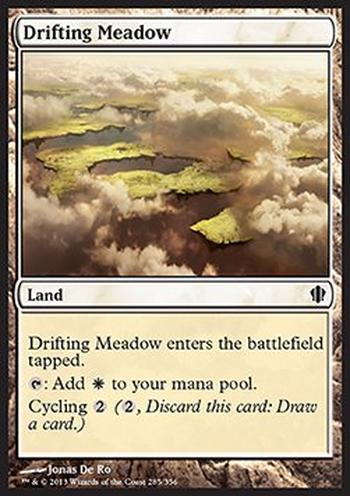 Drifting Meadow