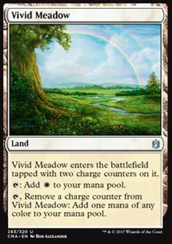 Vivid Meadow