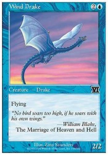 Wind Drake