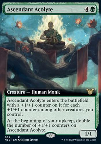 Ascendant Acolyte