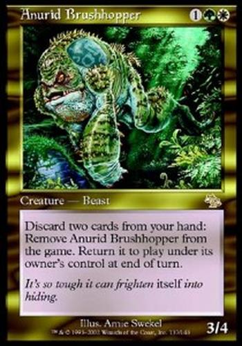 Anurid Brushhopper