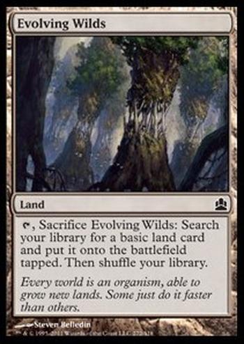 Evolving Wilds