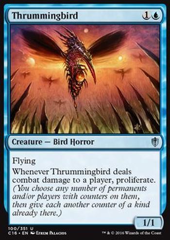 Thrummingbird