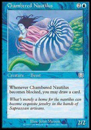 Chambered Nautilus