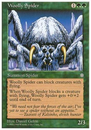 Woolly Spider