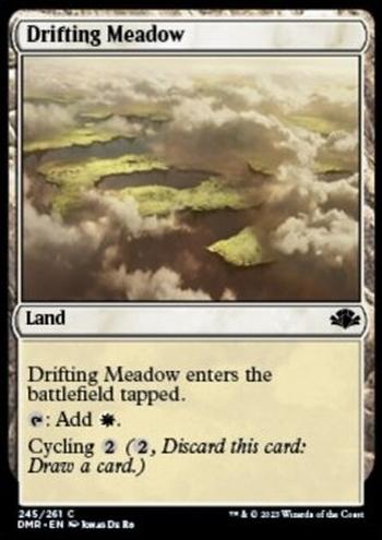 Drifting Meadow