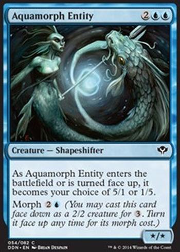 Aquamorph Entity