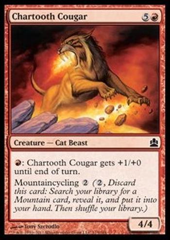 Chartooth Cougar