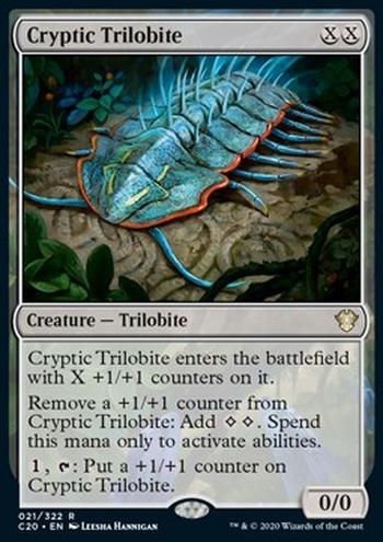 Cryptic Trilobite