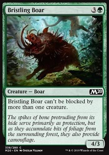 Bristling Boar