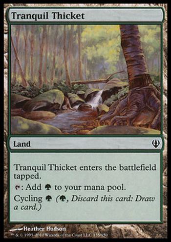 Tranquil Thicket