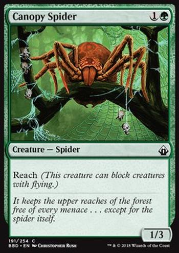 Canopy Spider