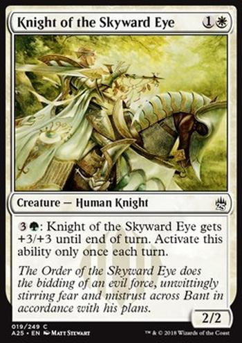 Knight of the Skyward Eye