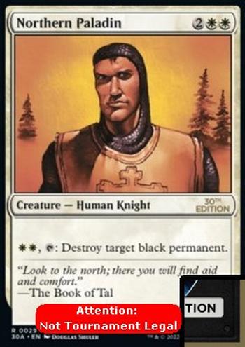 Northern Paladin