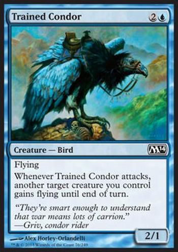 Trained Condor