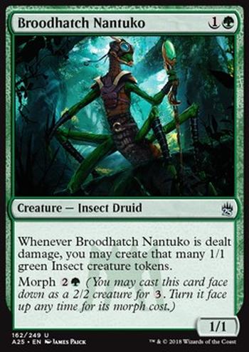 Broodhatch Nantuko