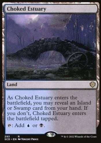 Choked Estuary