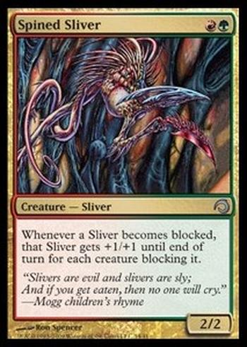 Spined Sliver