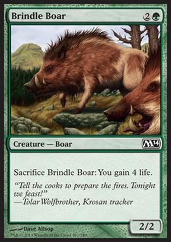 Brindle Boar