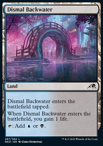 Dismal Backwater