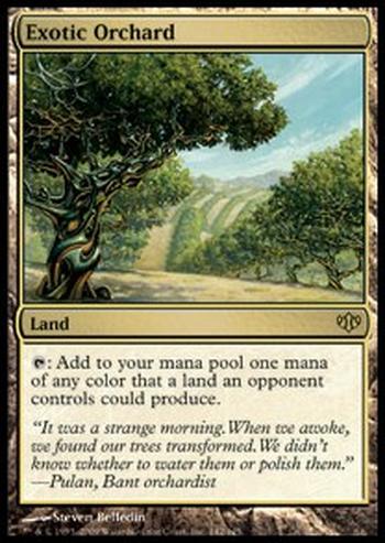 Exotic Orchard