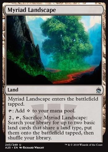 Myriad Landscape